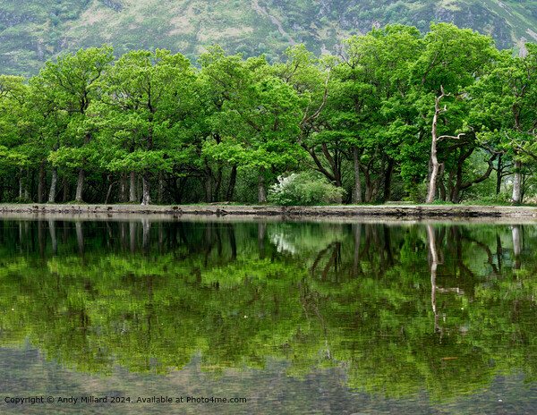 Crummock Water Reflections Picture Board by Andy Millard