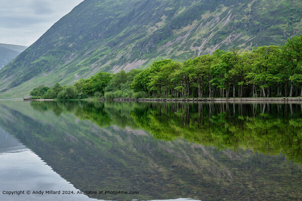 Crummock Water Reflections Picture Board by Andy Millard