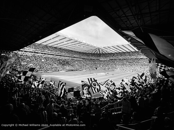 St James’ Park Picture Board by Michael Williams