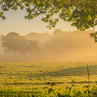 Sussex Misty Morning Landscape
