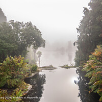 A view between the trees across the misty morning lakes and lovely reflection.