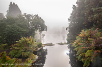 Click to show how this picture will look as a piece of wall art