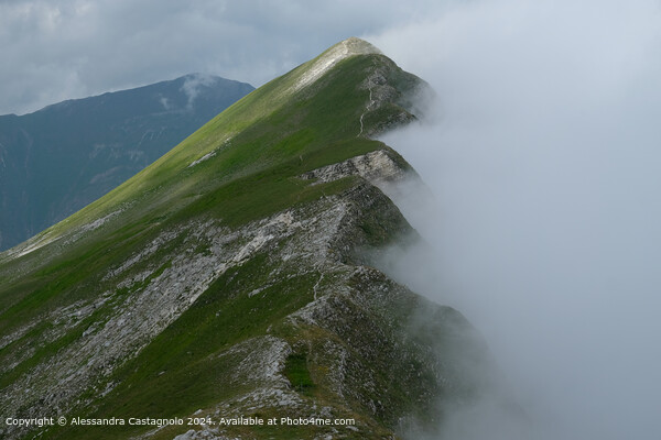 Sibillini Mountains Foggy Landscape Picture Board by Alessandra Castagnolo