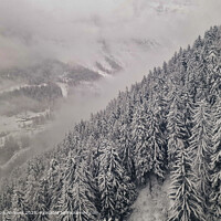 Snow-covered Mountain Forest Landscape
