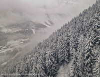 Click to show how this picture will look as a piece of wall art