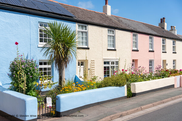 Colourful Cottages Shaldon, Devon, UK Picture Board by Steven Wise