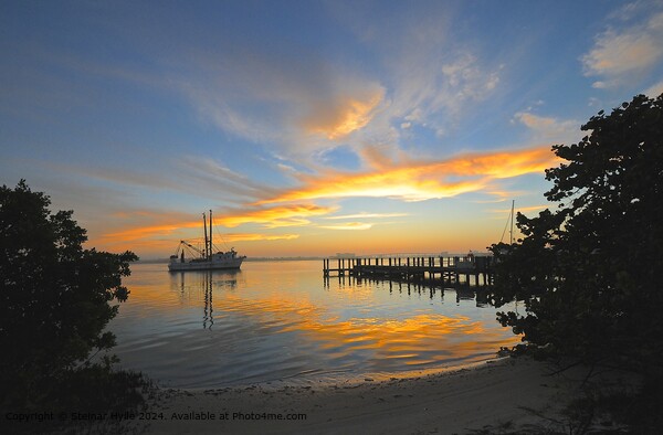 Golden Sunrise-Sunset Glow at Estero Boulevard, Fort Myers Beach Picture Board by Steinar Hylle
