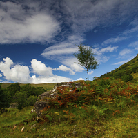 Buy canvas prints of Glen Finglas autumn, Scotland by Gabor Pozsgai