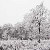 Buy canvas prints of Winter landscape by Gabor Pozsgai