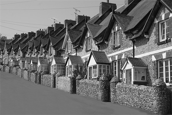 Fishermans cottages in Beer Picture Board by mick gibbons
