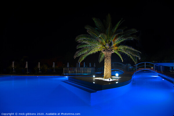 Palm Tree Pool at night Picture Board by mick gibbons