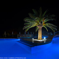 Buy canvas prints of Palm Tree Pool at night by mick gibbons