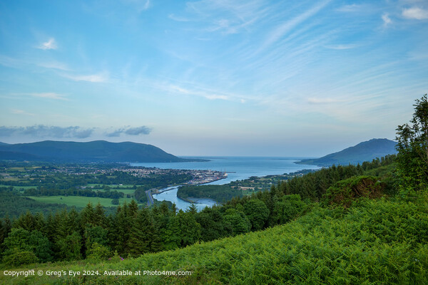 Carlingford Lough Landscape View Picture Board by Greg's Eye
