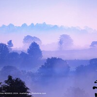 Carmarthenshire Misty Morning