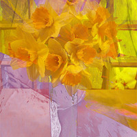 Buy canvas prints of daffodils by joseph finlow canvas and prints
