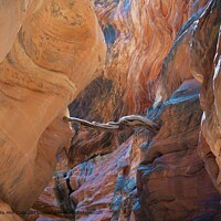 Buckskin Gulch Slot Canyon