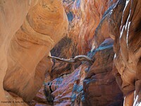 Click to show how this picture will look as a piece of wall art