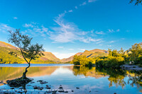 Click to show how this picture will look as a piece of wall art