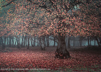 Click to show how this picture will look as a piece of wall art