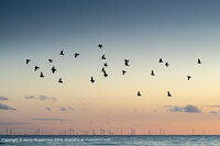Click to show how this picture will look as a piece of wall art