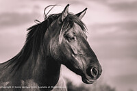 Click to show how this picture will look as a piece of wall art