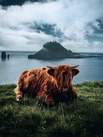 Click to show how this picture will look as a piece of wall art