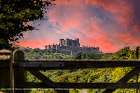 Click to show how this picture will look as a piece of wall art