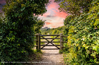 Click to show how this picture will look as a piece of wall art