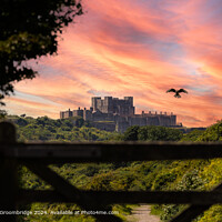 Dover Castle Kestrel Landscape