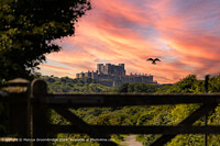 Click to show how this picture will look as a piece of wall art