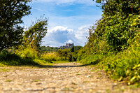 Click to show how this picture will look as a piece of wall art