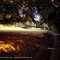 Connaught Park Dover Autumn Landscape