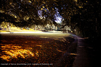 Click to show how this picture will look as a piece of wall art