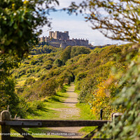 White Cliffs Dover and Dover Castle Landscape