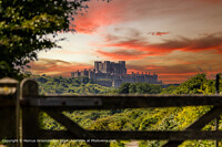 Click to show how this picture will look as a piece of wall art
