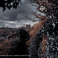 White Cliffs of Dover Landscape
