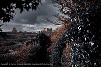 Click to show how this picture will look as a piece of wall art
