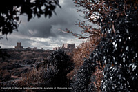 Click to show how this picture will look as a piece of wall art
