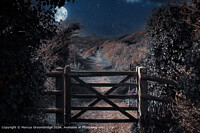 Click to show how this picture will look as a piece of wall art