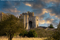 Click to show how this picture will look as a piece of wall art