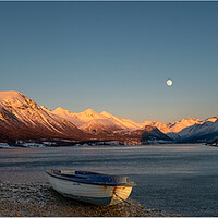 Arctic Circle Fjords Landscape