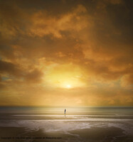Click to show how this picture will look as a piece of wall art