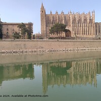 Palma Castle Water Reflection