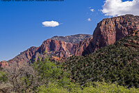 Click to show how this picture will look as a piece of wall art