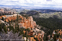 Click to show how this picture will look as a piece of wall art