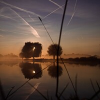 Bushy Park Sunrise - Sunset