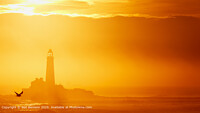 Click to show how this picture will look as a piece of wall art