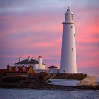 St Mary's Lighthouse Sunrise