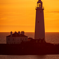 St Mary's Lighthouse Sunrise
