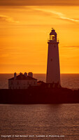 Click to show how this picture will look as a piece of wall art